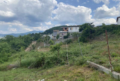 زمین در منطقه سوادکوه شیرگاه روستای کلیج خیل