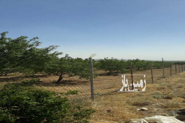 خونه باغ جنب جاده اصلی استخر و ۱۳۰درخت میوه روستای زیزگان-2