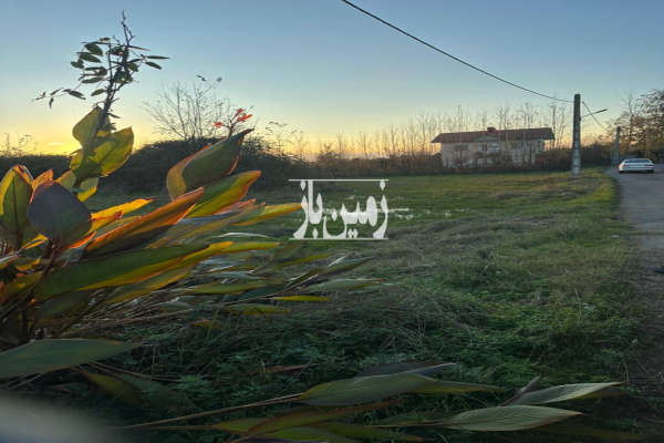۲۵۸۴ متر زمین مسکونی و شالیزار و باغی روستای گورندان-2