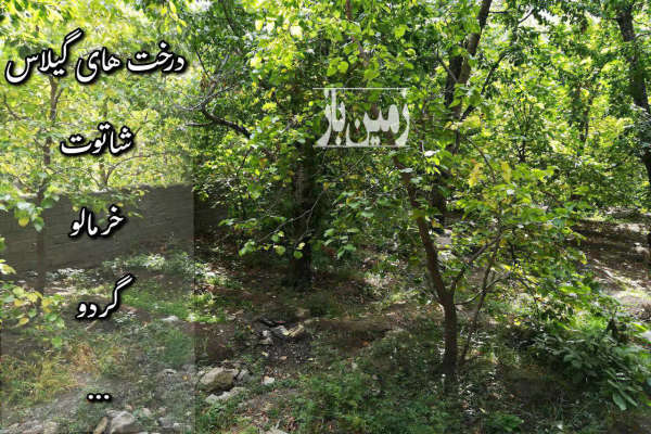 باغ مشجر در سولقان در محله کشهر سفلی-2