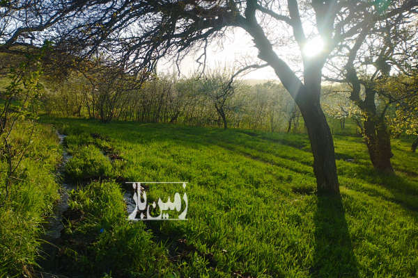 باغ روستایی واقع در ۲۰ کیلو متری زنجان-2