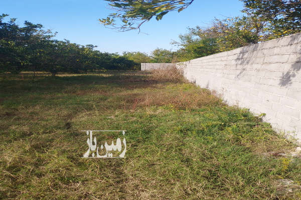 زمین مسکونی ۴۳۰ متری ( ۲ پلاک باغ ) گتاب-4