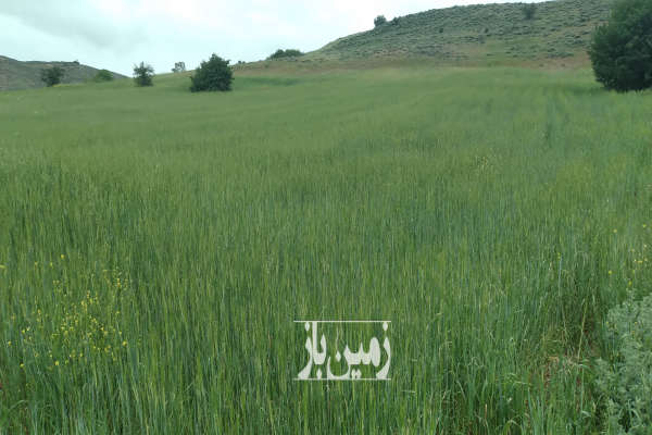 زمین کشاورزی در روستای اروشکی ۱۲۰۰۰ متری-2