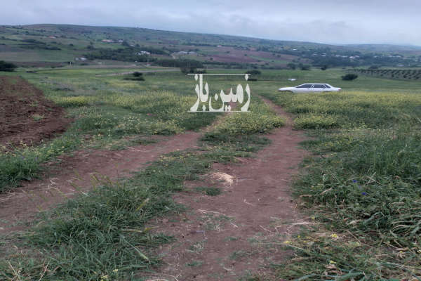 زمین کشاورزی در روستای اروشکی ۱۲۰۰۰ متری-3
