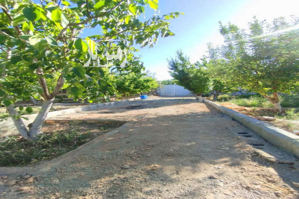 باغ چهار دیواری شده ۵۰۶ متر زمین-2