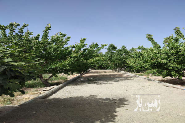 باغ چهار دیواری شده ۵۰۶ متر زمین-4