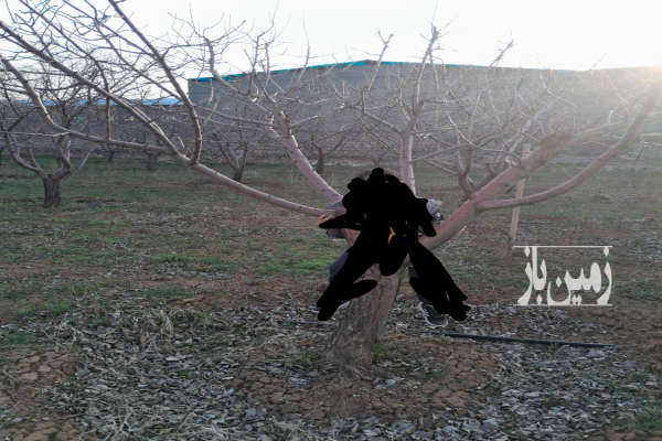 زمین باغی تجهیزات آب و برق و گاز و خانه مسکونی بر جاده-1