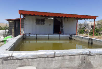 باغ ۱۰۰۰ متری درمکانی دنج و راحت با دسترسی آ سان