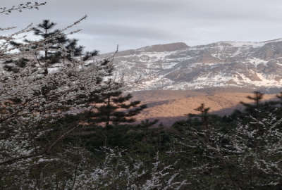 زمین مسکونی ۲۴۰ متری در روستای انارم