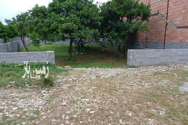 زمین مسکونی ابتدای جاده دریا اوجا محله-4