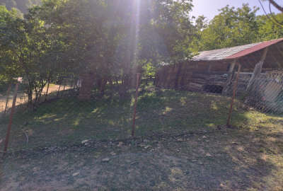 زمین مسکونی ۲۰۰ متر روستای گنگهه لیوه فروشی