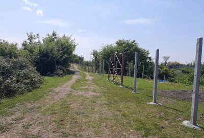 زمین باغی مسکونی سلوش ۵۶۱ متر دارای مجوز گلخانه