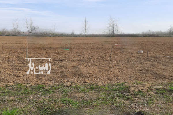 زمین باغات در روستای کسما ۹۰۰۰ متری فروشی-1