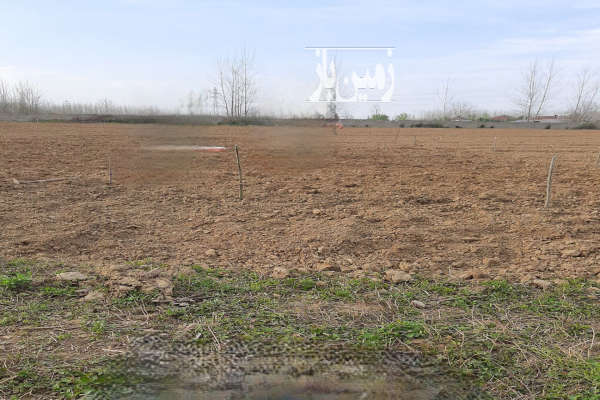 زمین باغات در روستای کسما ۹۰۰۰ متری فروشی-2