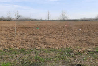 زمین باغات در روستای کسما ۹۰۰۰ متری فروشی