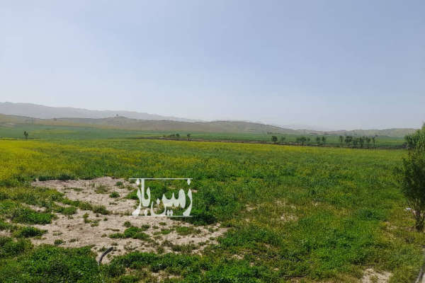 زمین کشاورزی درقعله تل چشمه شیرین دارای درخت دونیم هکتار-3