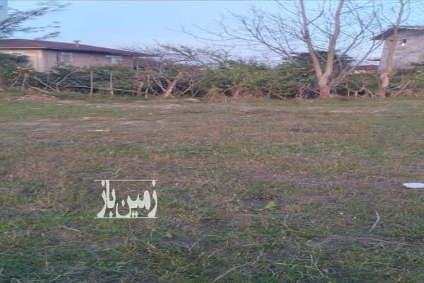 زمین ۸۴۰ متر با کاربری مسکونی سیاهکلرود شاهمرادمحل-4
