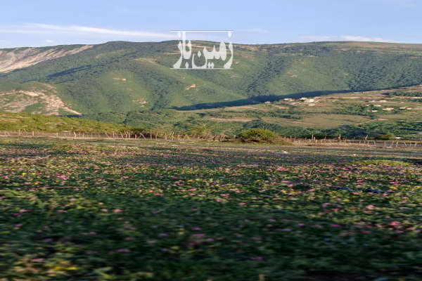 زمین در روستای اکراسر جاده دالخانی ۹۰۰ متر-1