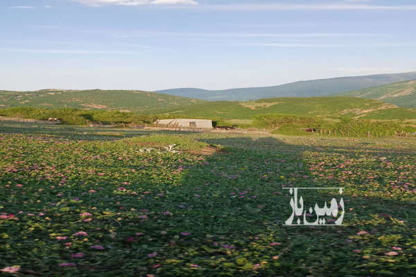 زمین در روستای اکراسر جاده دالخانی ۹۰۰ متر-2
