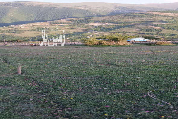 زمین در روستای اکراسر جاده دالخانی ۹۰۰ متر-3