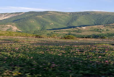 زمین در روستای اکراسر جاده دالخانی ۹۰۰ متر