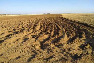 زمین مسکونی روستای علی آباد اراک دوبر بهترین موقعیت