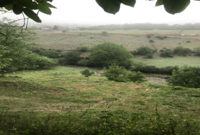 زمین ییلاقی نوشهر روستای زانوس ۳۸۲۳ متر داخل بافت مسکونی
