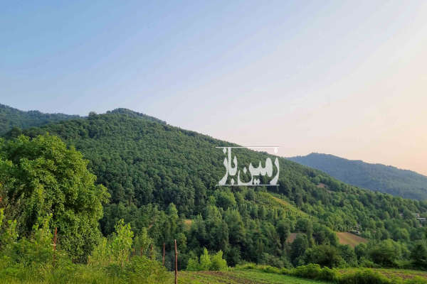 یک قطعه زمین ۱۱۰۰ متر مناسب خونه باغ بخش هزار جریب-1