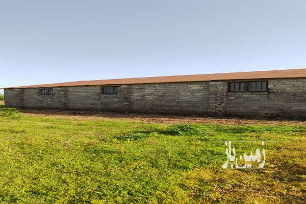 ۱ هکتار زمین فروشی کشاورزی دامداری در روستای خمیران-2