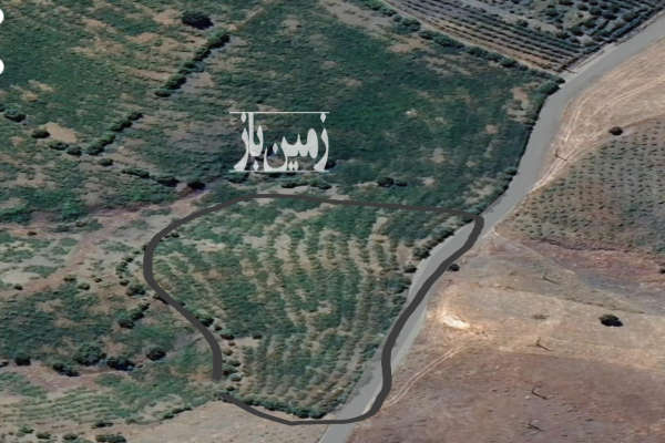 باغ انگور سیاه در روستای خانخل شهرستان سردشت ۵۸۰۰ متر-1