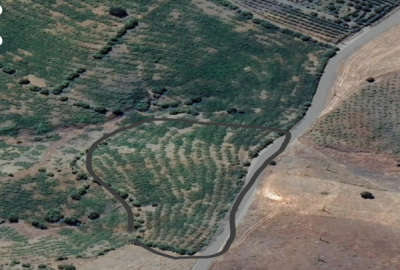 باغ انگور سیاه در روستای خانخل شهرستان سردشت ۵۸۰۰ متر
