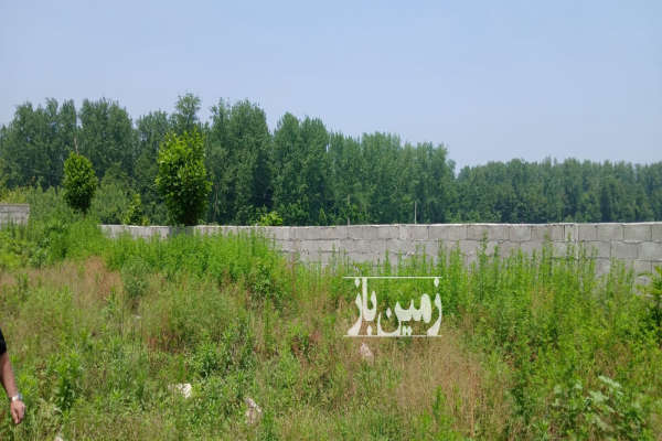 ۵۰۰ متر زمین مناسب سرمایه گذاری در شاندرمن ماسال-4
