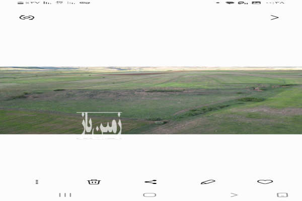 ۸۷۰۰ متر زمین با سند تکبرگ روستای گیاهان دارویی لیه-4