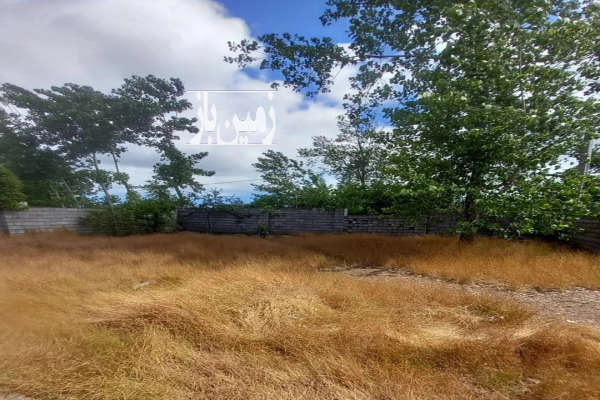 زمین مسکونی سند تک برگ ۲۳۰ متر در کیاشهر ترک محله-1