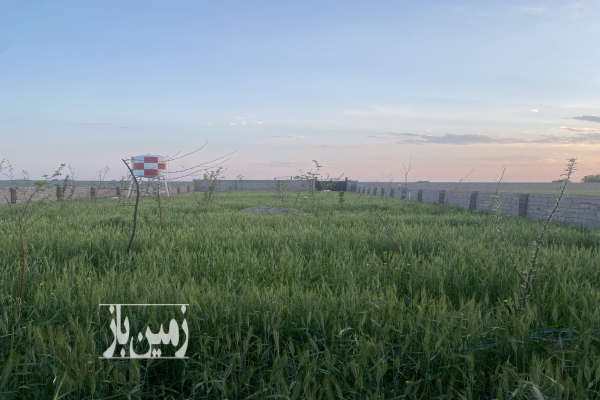 زمین چهاردیواری شده هزار متری با منبع اب وهن اباد-3