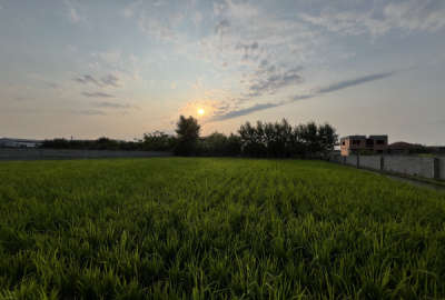 ۲۵۰ متر زمین در بافت قابل ساخت با انشعابات روستای میرده