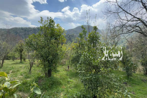 زمین ۴۰۰ متری بافت زرد سلیمان آباد روستای یوسف آباد لوکیشن عالی-1