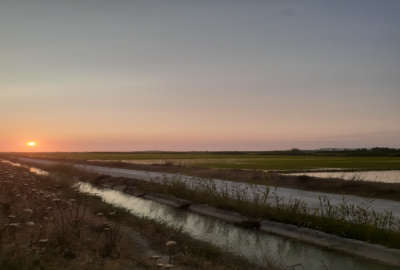۱۸۳۰۰۰ متر زمین ماکوان دارای سند تک برگ