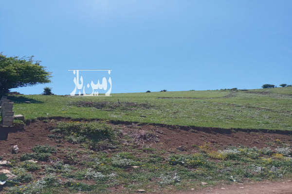 زمین کلاردشت دریاچه ولشت ۵۰۰ متر چشم انداز بینظیر فروشی-4