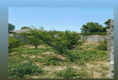 زمین ۲۰۰ متری چهار دیواری سهیلیه کرج