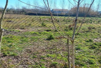 زمین ۸۰۰ متری کنار رود خانه نزدیک دریا روستایی