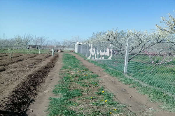 باغ در کوی تقی آباد جاده سوگلی تپه ۱۵۰۰ متر زمین-2