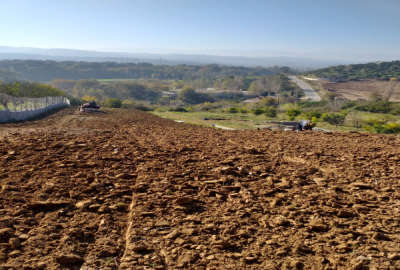 زمین کشاورزی ۹۰۰ متر در روستای کرچنگ ویو عالی زمین دو بر