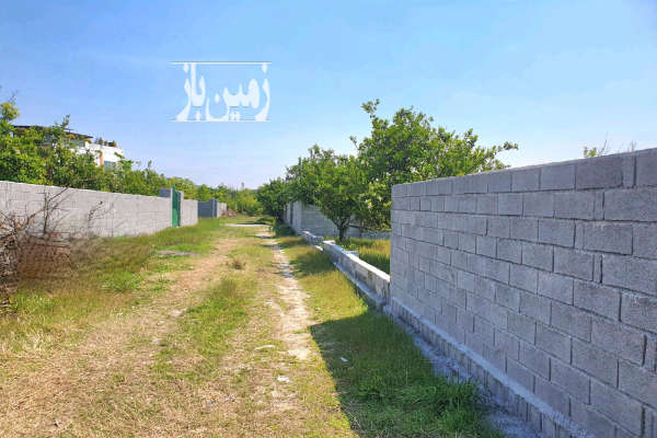 باغ ۴۷۹ متر زمین در خوردنکلا چسبیده به بافت محصور شده-3