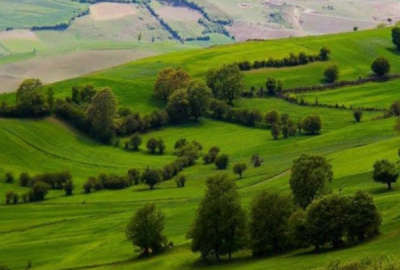 زمین ۳۲۰ متری در سلیمان آباد جل چلاسر