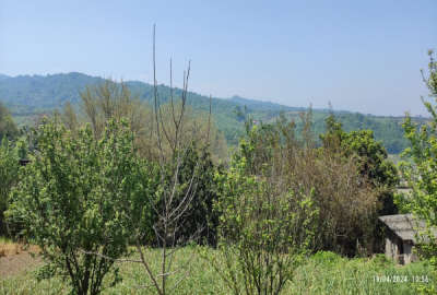 زمین ۱۲۵۰متر در روستای سیدابوصالح داخل بافت
