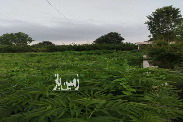 زمین ۱۷۶۰ متر نزدیک گتکسر و گیسوم-1