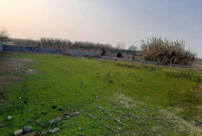 زمین به متراژ ۹۱۰ با بر ۳۸ متر کمربندی هزارسنگر به محمودآباد روستای جمشیداباد