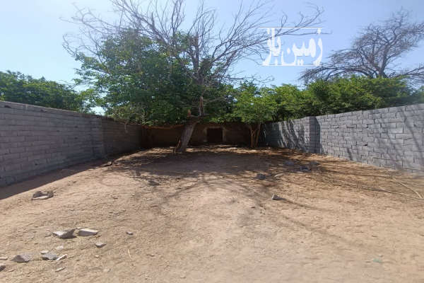 زمین باغی مهریز موقعیت عالی ۲۰۰ متر-3