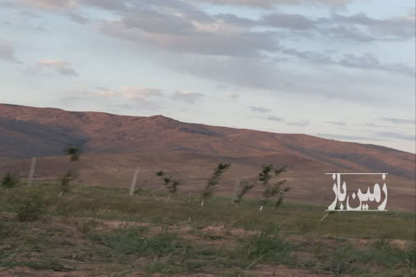 باغ بادام روستای دستجرد علیا ۳۸۰۰ متر-3